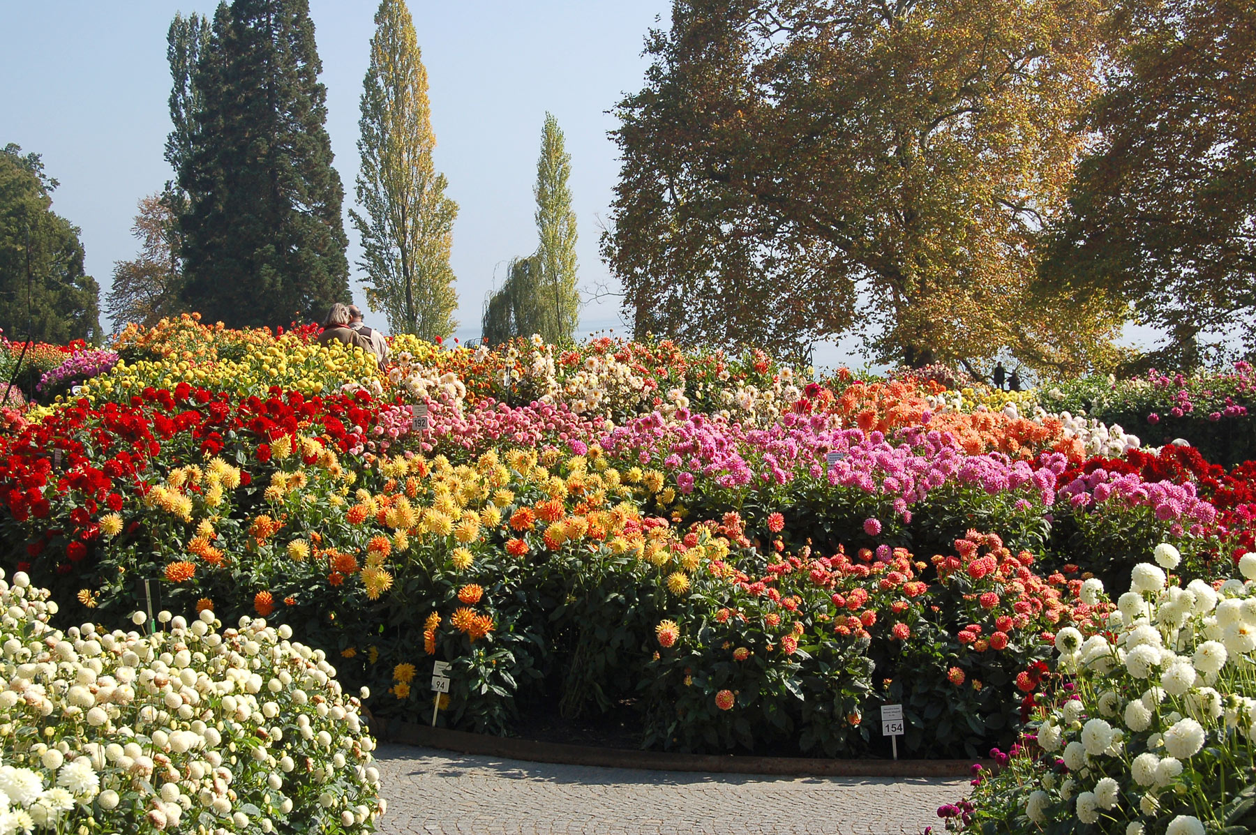 Mainau